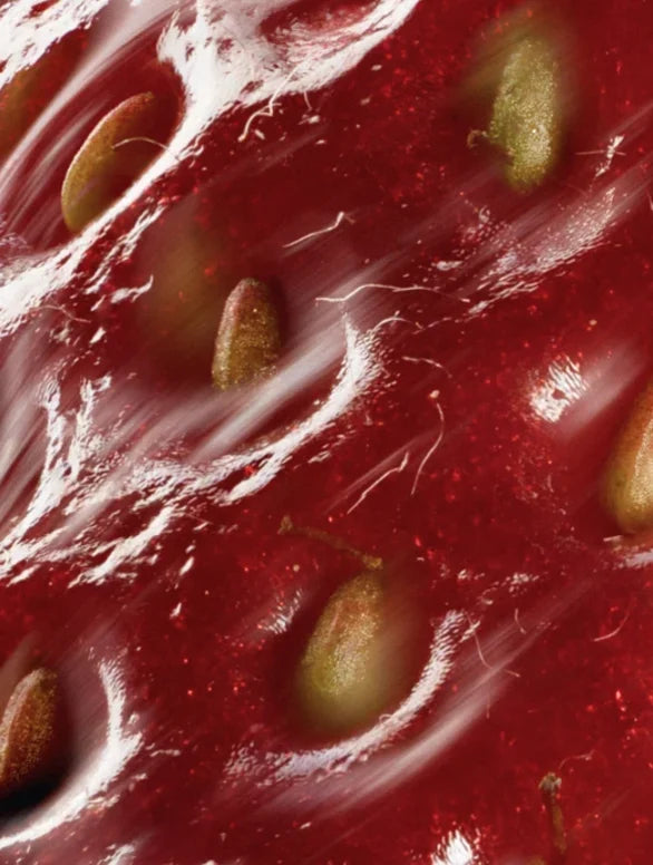 Peptide Ageless AM/PM Cream